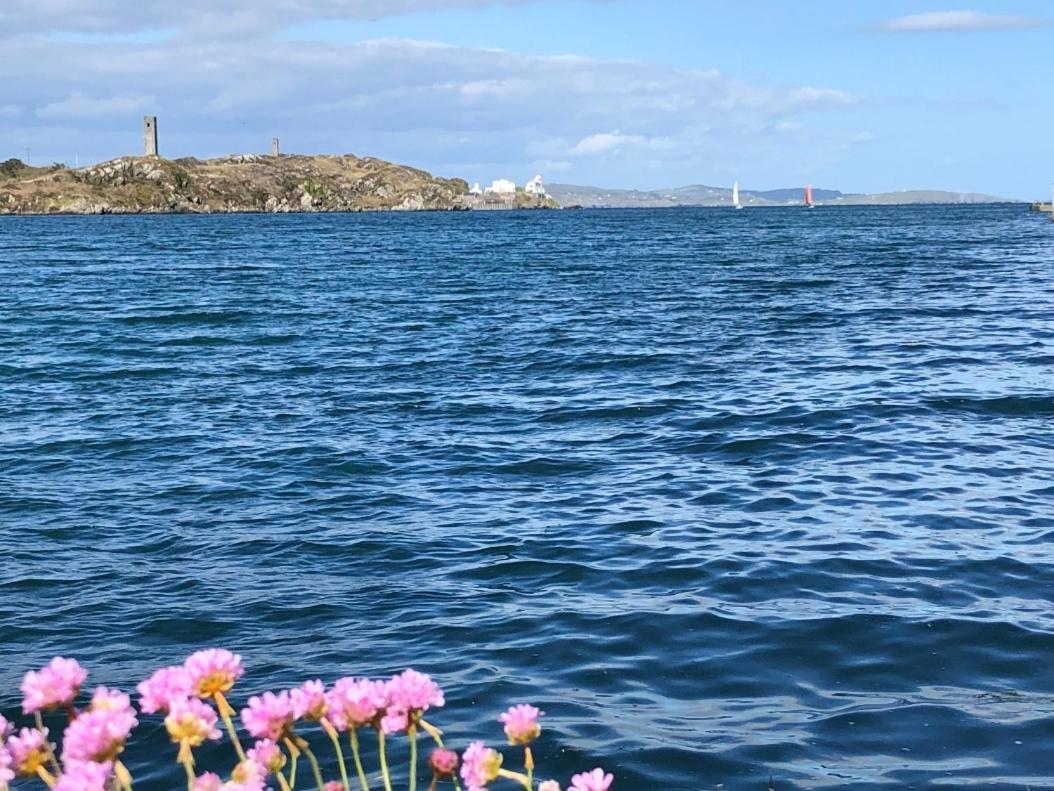 Villa Seafront House With Own Private Pier In Gunpoint, Schull, West Cork Seafort Esterno foto